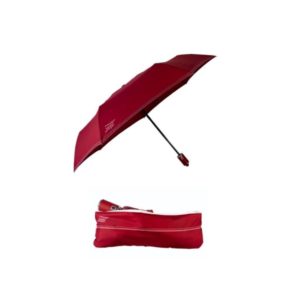 Parapluie AUTOMATIQUE Beau Nuage (4 coloris)